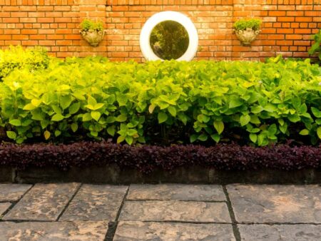 Choosing flooring for the garden